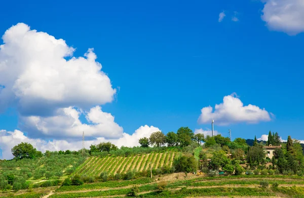 Tuscany, italian rural landscape — Stock Photo, Image