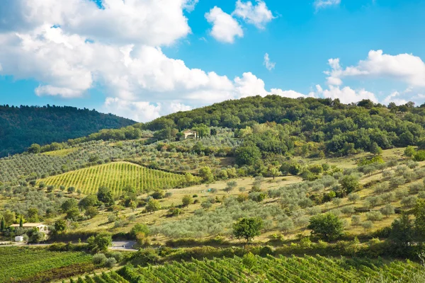 Landschap in Toscane — Stockfoto