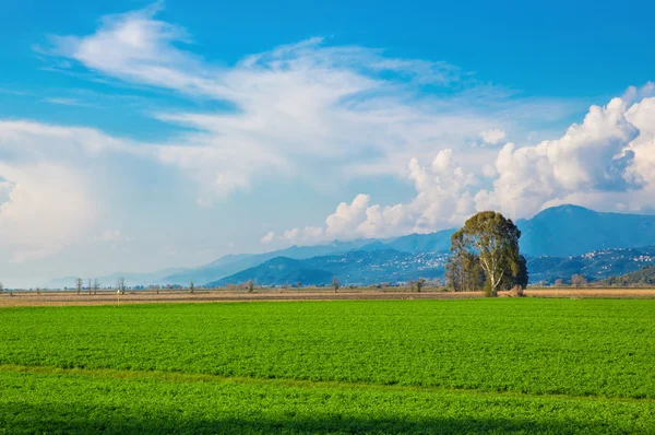 Tuscany, italian rural landscape — Stock Photo, Image