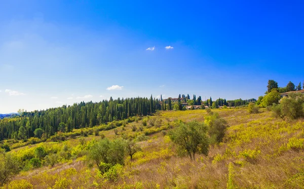 Italian rural landscape — Stock Photo, Image