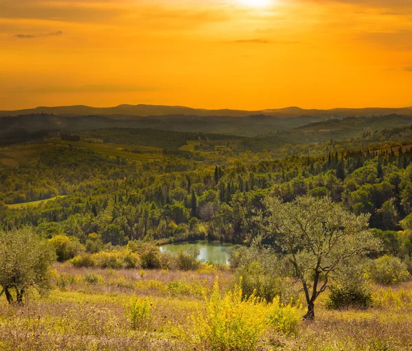 Italian rural landscape at evening — Stock Photo, Image