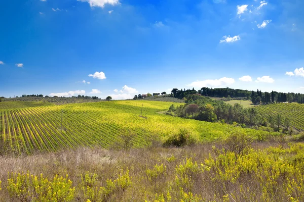 Italiaans landschap — Stockfoto