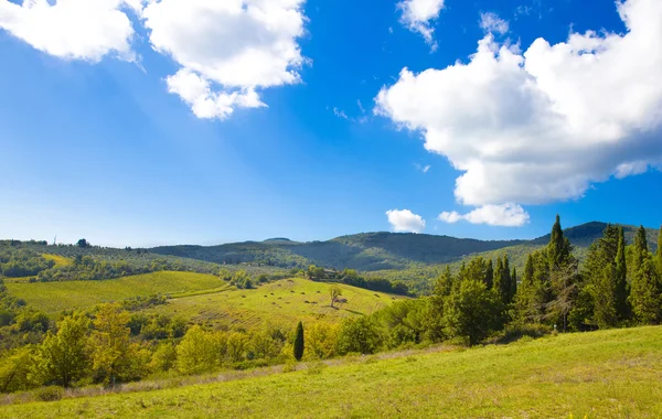Italian rural landscape — Stock Photo, Image