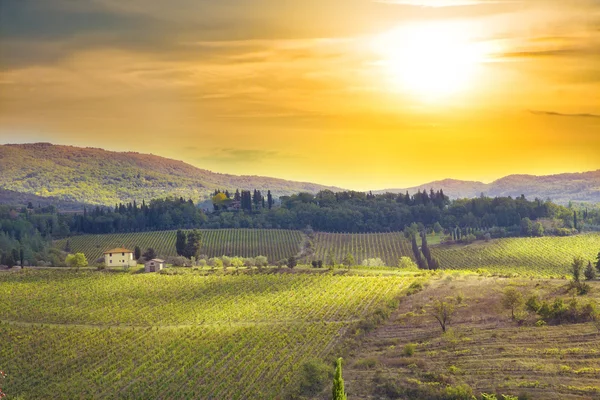 Zonsondergang in Tuscany meadows — Stockfoto