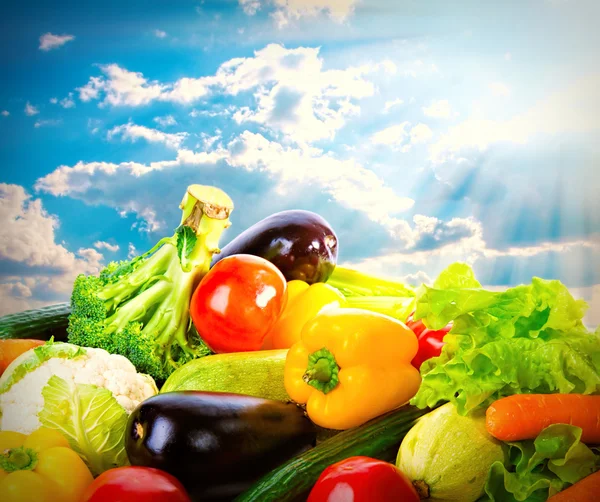 Свіжі овочі над синім сонячним небом. Фундамент концепції збору врожаю — стокове фото