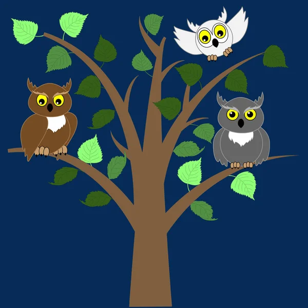 Δύο Κουκουβάγιες Κάθονται Ένα Δέντρο Και Μια Τρίτη Κουκουβάγια Πετάει — Διανυσματικό Αρχείο