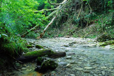 Kuzey Kafkasya dağlarında küçük bir dağ nehrinin derin bir vadisi..