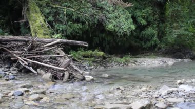 Kuzey Kafkasya dağlarında derin bir vadide küçük bir dağ nehri..