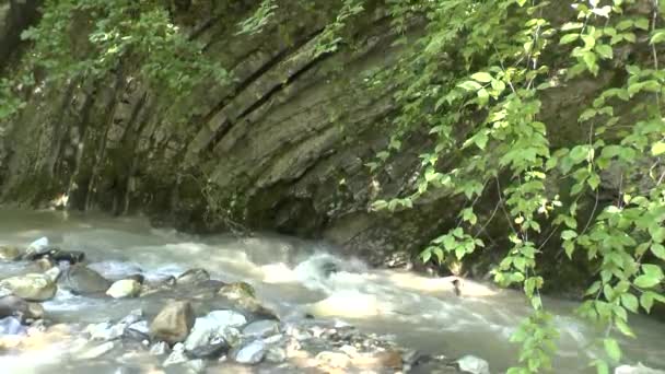 Río de montaña Kuapse en las montañas del Cáucaso Norte — Vídeos de Stock