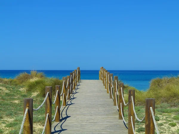 Caminho para a praia e o mar — Fotografia de Stock