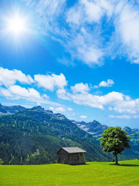 Cabaña, árbol y montañas — Foto de Stock