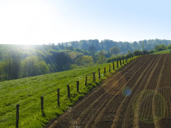 Agrarlandschaft — Stockfoto