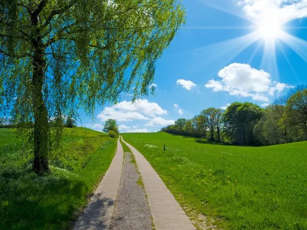 Pista di montagna nel paesaggio agrario — Foto Stock