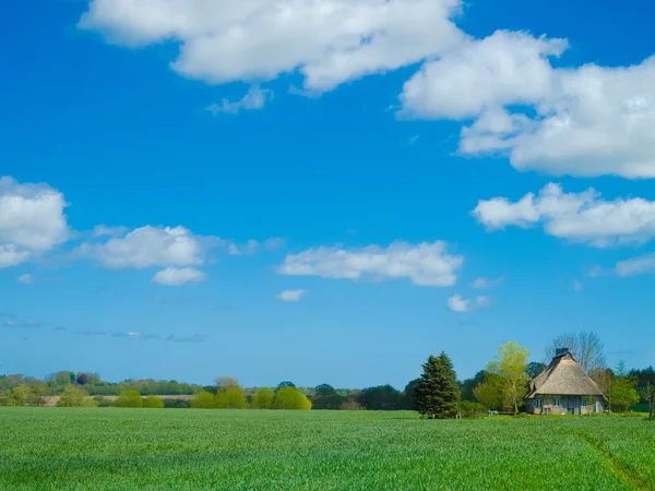 Altes Bauernhaus mit Strohdach auf den Feldern — Stockfoto