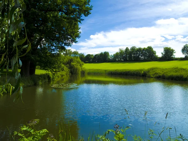 Damm i parken — Stockfoto