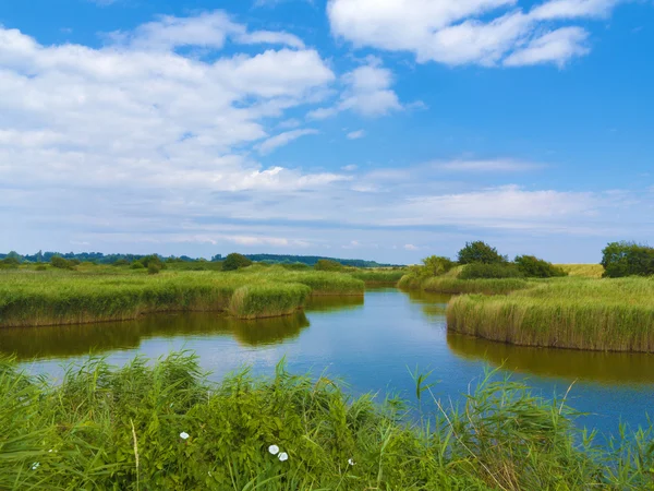 Damm i fen — Stockfoto