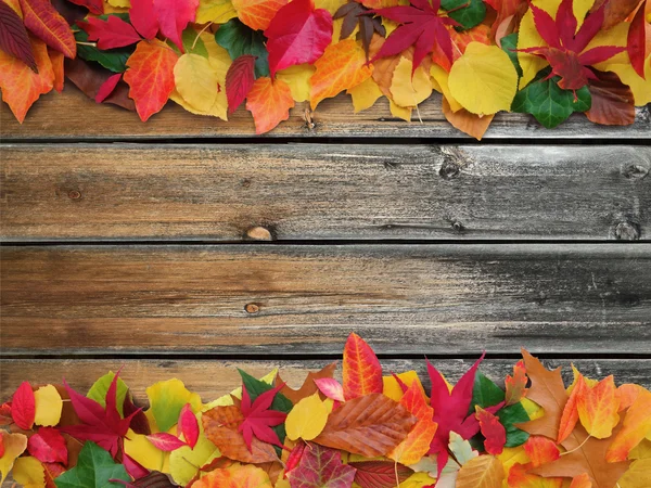 Fondo decorativo de otoño — Foto de Stock