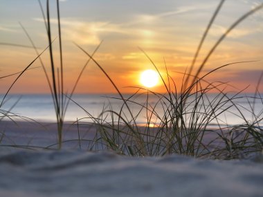 günbatımı ve beach çimen