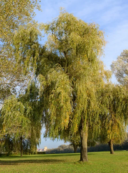 Herbstdurchblick zum Stift Melk — Stockfoto