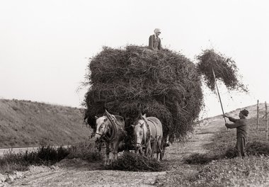 Historische Heuernte