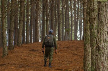 Çam ormanında yürüyen balıkçı.