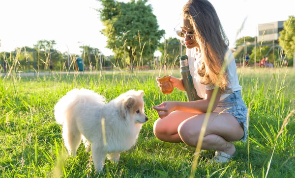 Blonde Woman Taking Traditional Gaucho Chimarrao Dog Park — Stock Photo, Image