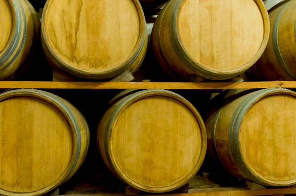 Oak Barrels Wine Aging Underground Cellar Vale Dos Vinhedos — Stock Photo, Image