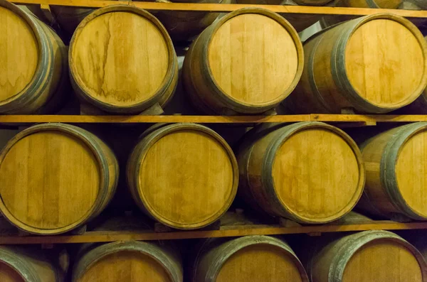 Oak Barrels Wine Aging Underground Cellar Vale Dos Vinhedos — Stock Photo, Image