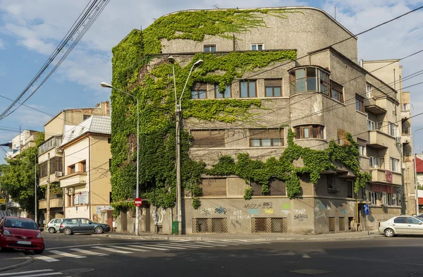 Gebäude mit Efeu überwuchert — Stockfoto