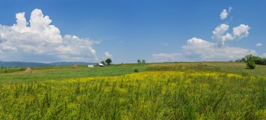 Romen çiftlik alan çiçekli Panoraması