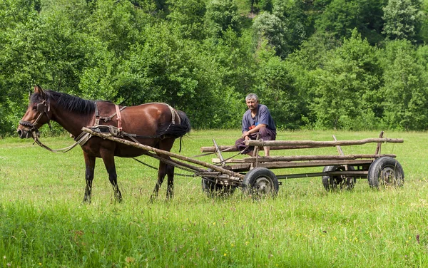 Mannen i trä vagn — Stockfoto