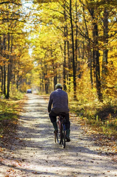 Radfahren im Wald — Stockfoto