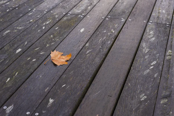 Fallen autumn leaf on wooden bridge — Stock Photo, Image