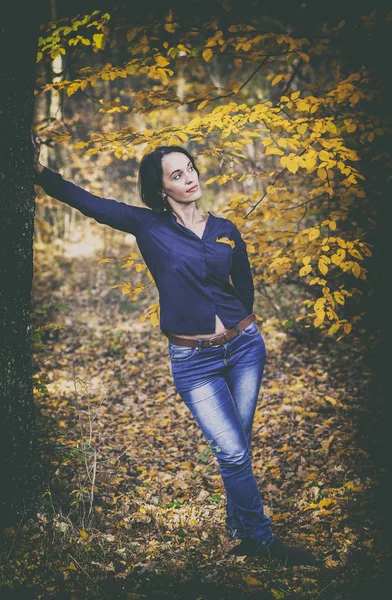 Retrato vintage de hermosa chica en jeans inclinados en otoño fo Imagen de stock