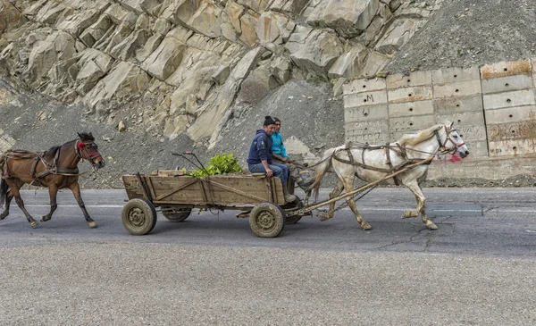 Agricoltori rumeni che guidano carrozza a cavallo che trasportano un aratro per preparare — Foto Stock