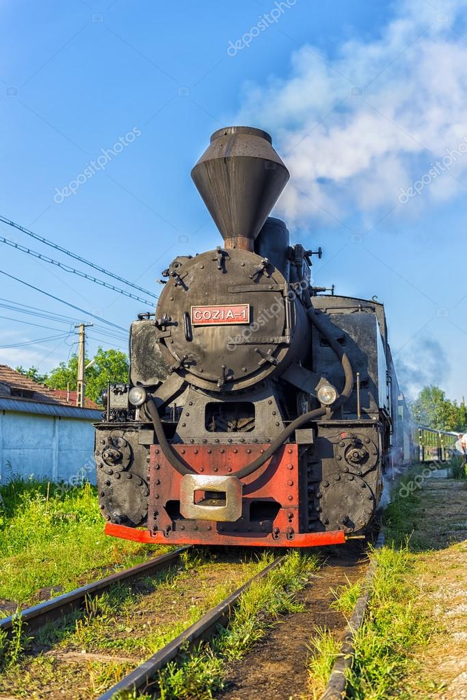 Viseul De Sus Romania August 10 2015 Mocanita Touristic Train The Main Touristic Atraction In Maramures County With One Of The Remaining Funtional Locomotive Cozia Ready For Transportation 81071014 Larastock