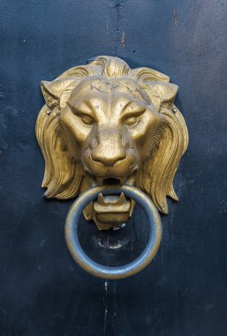 Aslan baş doorknocker bir metal kapı