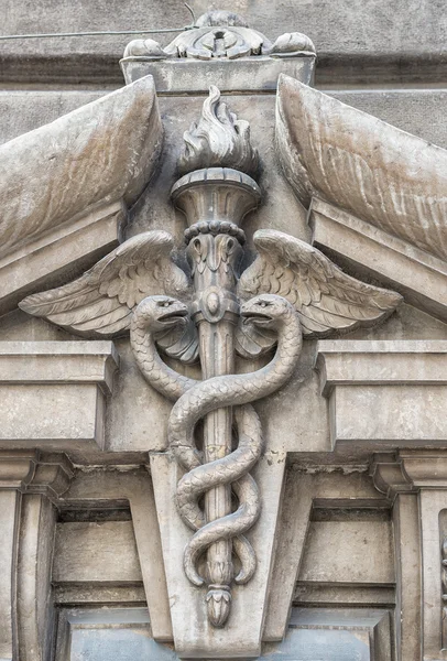 Primer plano de dos serpientes girando alrededor de un bastón alado, símbolo de la medicina — Foto de Stock