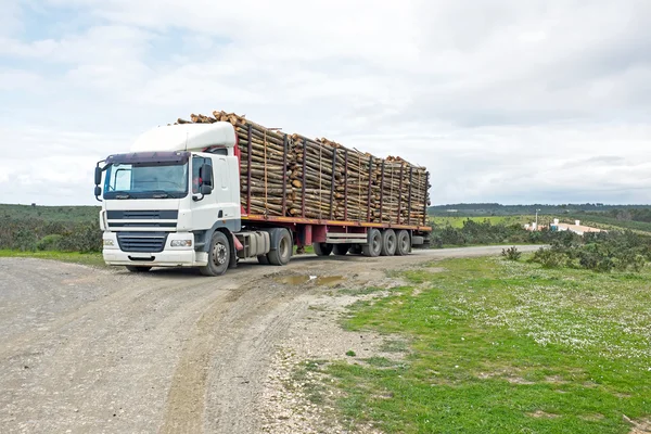 Camión con carga de troncos de eucalipto —  Fotos de Stock