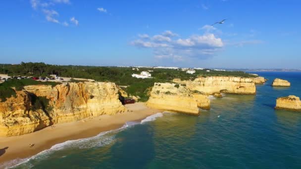 Εναέρια από τη διάσημη παραλία Praia da Marinha στο το Αλγκάρβε της Πορτογαλίας — Αρχείο Βίντεο