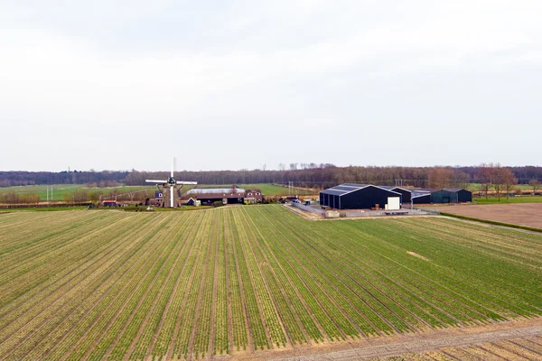 Traditionele molen in een Hollands landschap in Nederland — Stockfoto