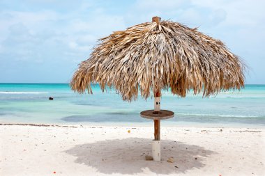 Palm Beach Aruba Karayipler'de plaj şemsiyesi