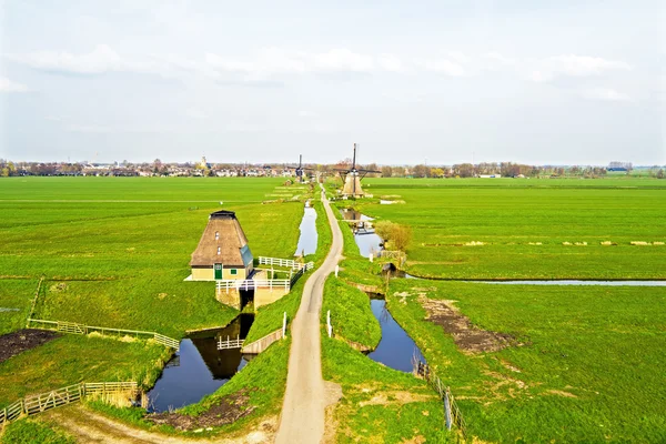 Moinhos de vento tradicionais em uma paisagem holandesa na Holanda — Fotografia de Stock