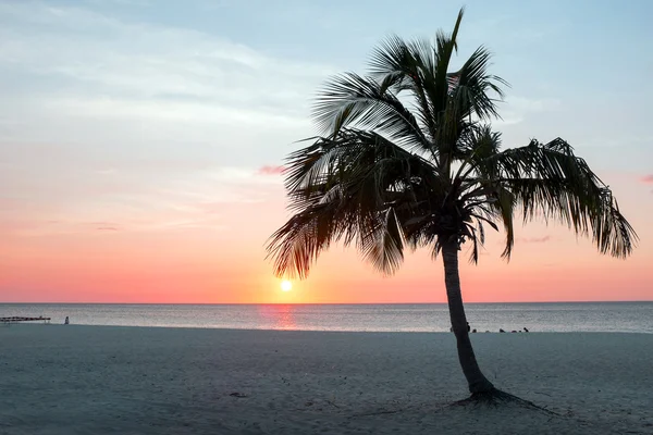 Zachód słońca na wyspie Aruba w Eagle beach na Karaibach — Zdjęcie stockowe