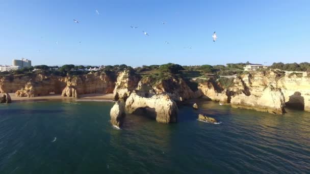 Εναέρια από Praia Tres Irmaos στο Αλγκάρβε της Πορτογαλίας — Αρχείο Βίντεο