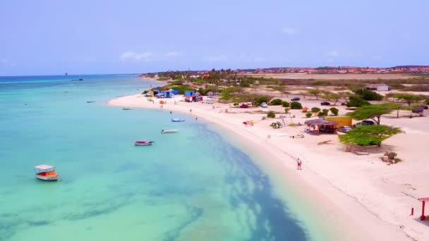 Aérien de kitesurf à l'île d'Aruba dans les Caraïbes — Video