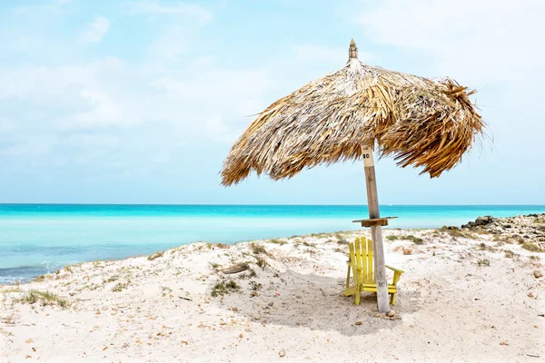 아루바는 카리브해에 있는 섬에 있는 해변에 잔디 우산 — 스톡 사진