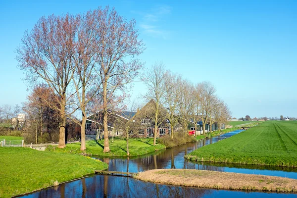 Ne tipik bir Hollandalı peyzaj evde geleneksel çiftçi — Stok fotoğraf