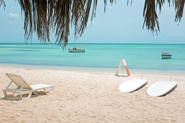 Palm Beach sur l'île d'Aruba dans les Caraïbes — Photo