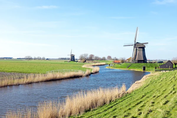 Moulins traditionnels dans un paysage hollandais aux Pays-Bas — Photo